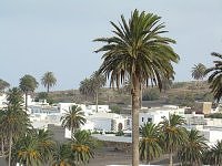 Haria - Lanzarote