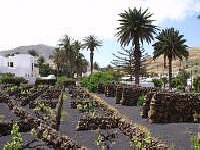 Haria - Lanzarote